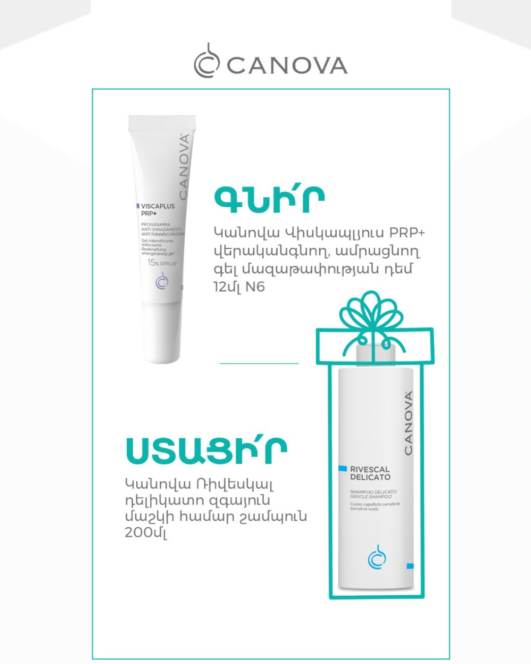 Հատուկ Առաջարկ Canova Ապրանքանիշից