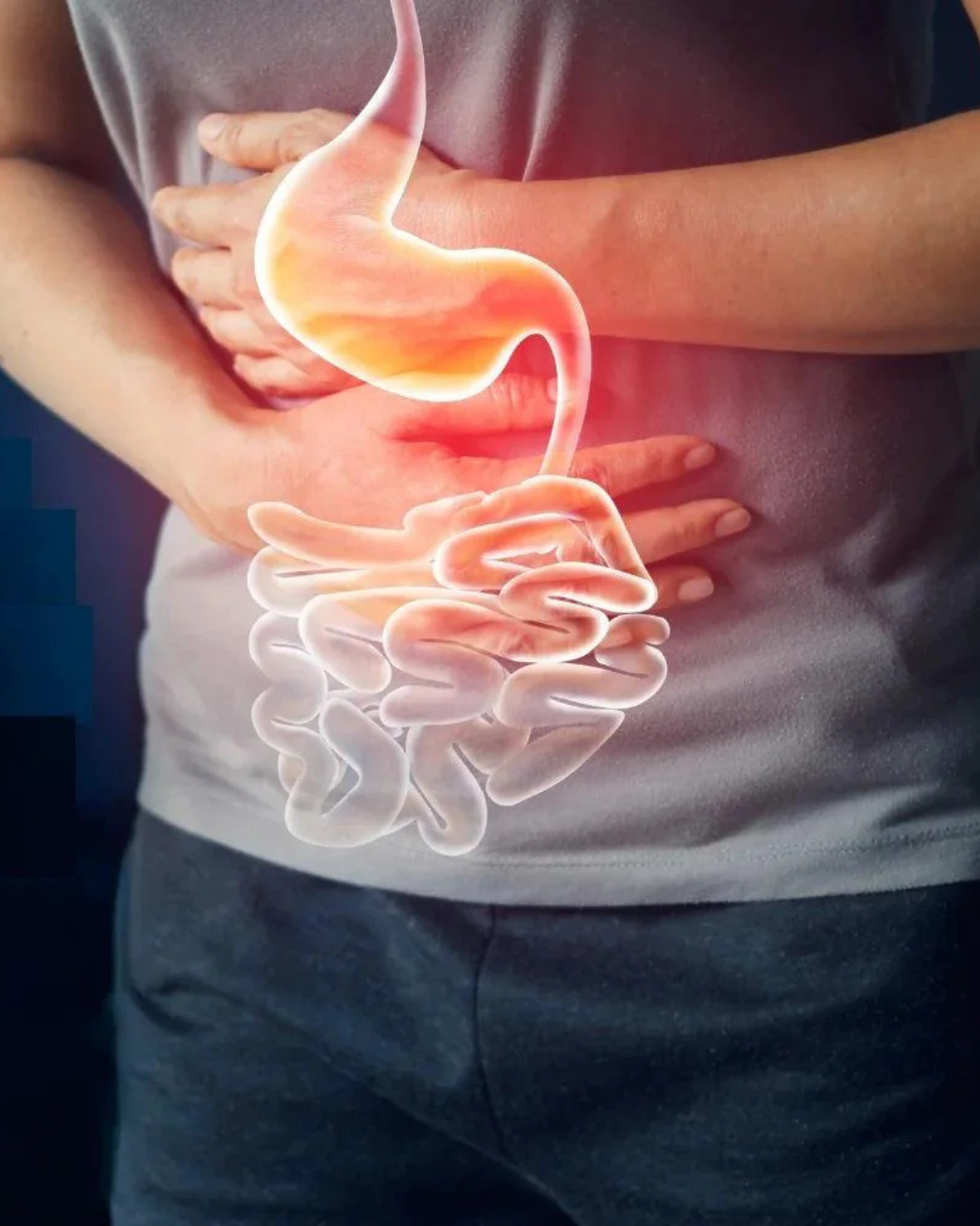 Մարսողություն