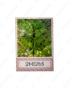 Equisetum arvense 30g