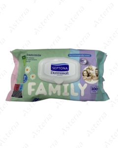 Septona Wet Wipes Family N100