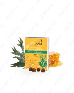 Propolia bio pastels propolis honey and eucalipt 45g 0249
