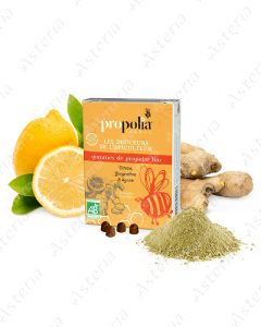 Propolia bio pastels ginger and propolis 45g 1017