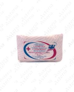 Antibacterial napkins 16cmx14cm N10