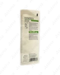 Plaster Teneris 10x30 N1
