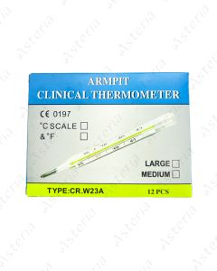 Thermometer with mercury N1