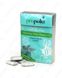 Propolia gum freshness N20 0867