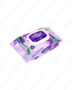 Papyrus wet wipes Econ N120